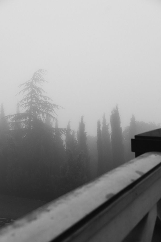 Photograph by Мария Корвин-Кучинская