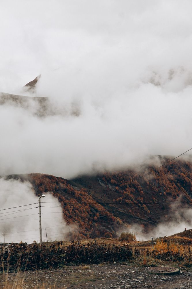 Photograph by Мария Корвин-Кучинская