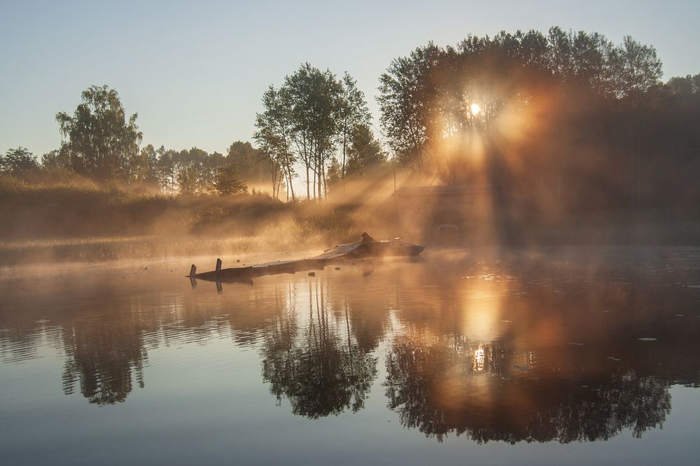 И лишь собака осталась ждать на берегу...