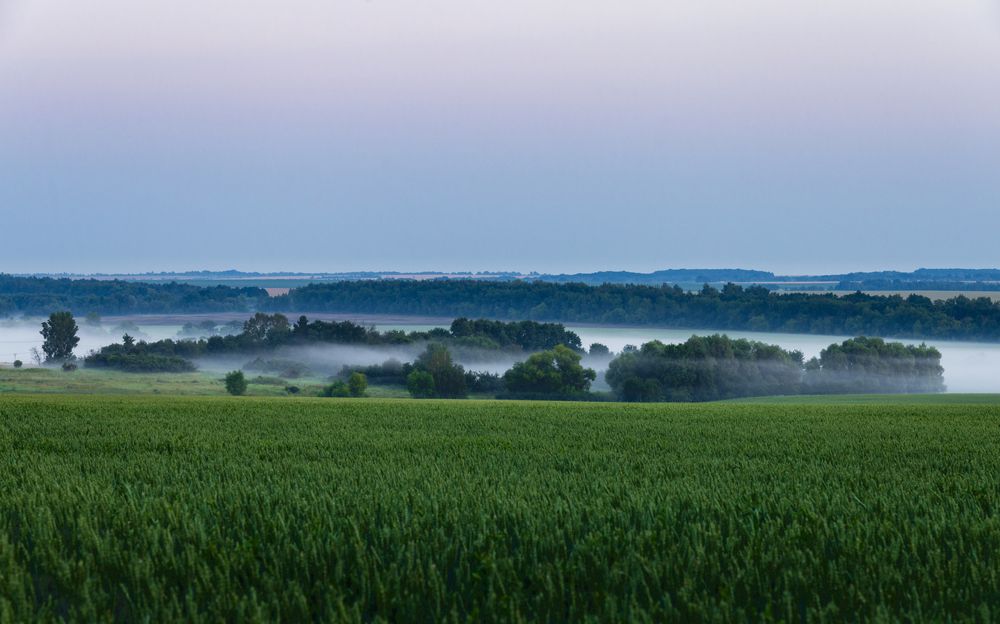 Photograph by Кузнецов Александр