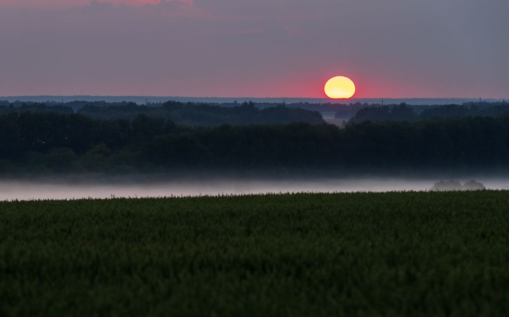 Photograph by Кузнецов Александр