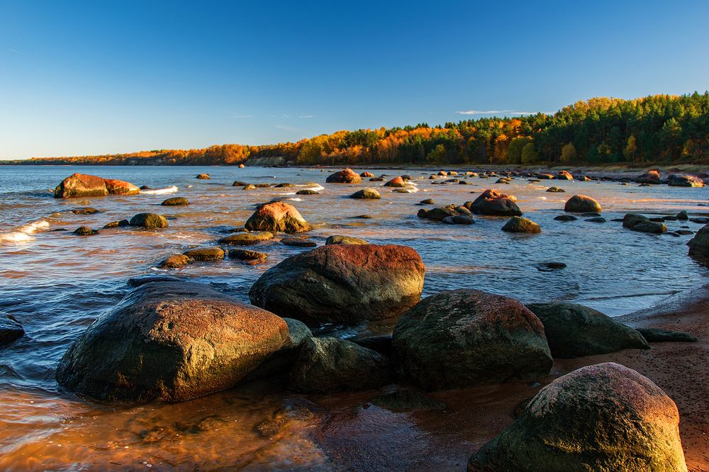 Photograph by Игорь Овсиенко