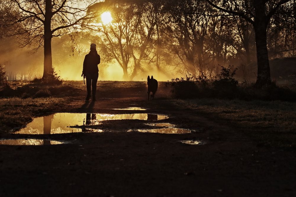 Photograph by Yana Egorova