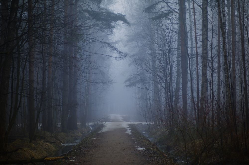 Photograph by Yana Egorova