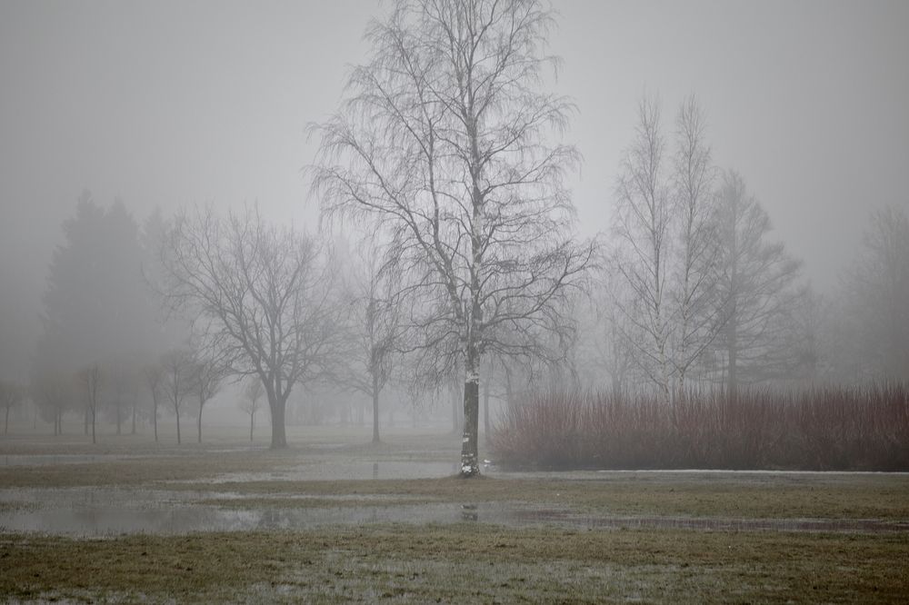 Photograph by Yana Egorova