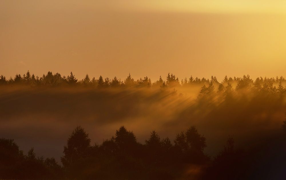 Photograph by Виктория Сивакова