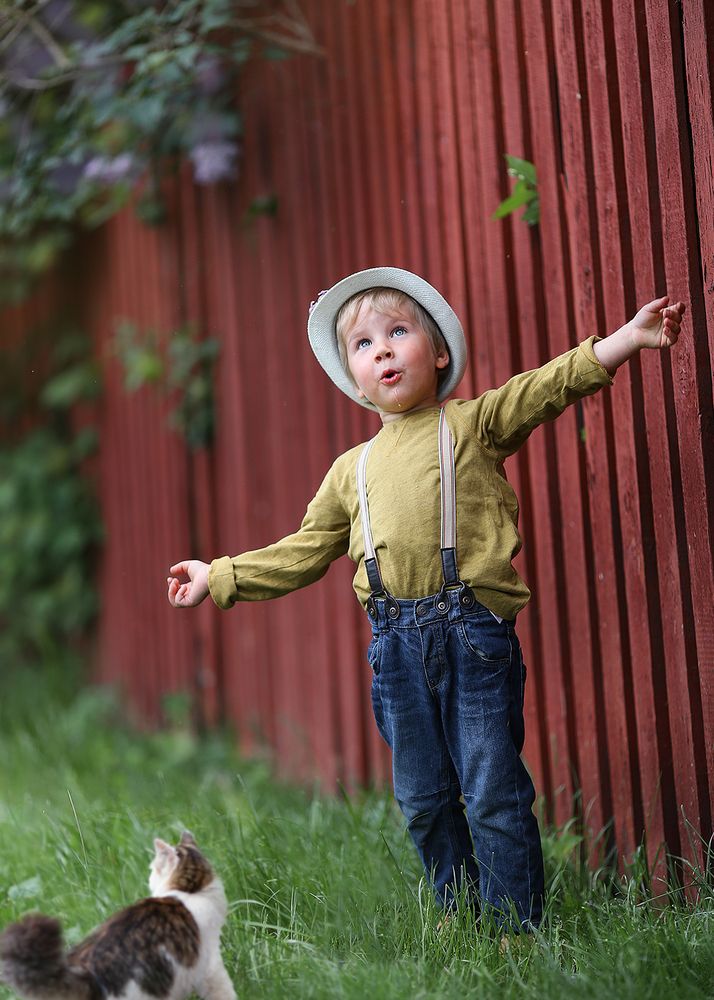 Гуси -лебеди летят!)