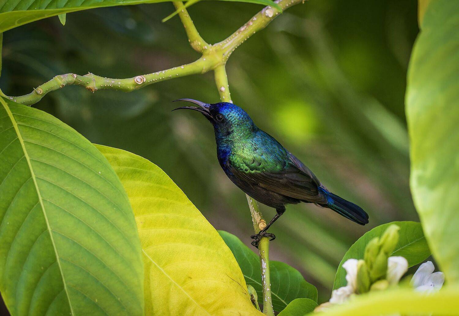 Фотография #12100578