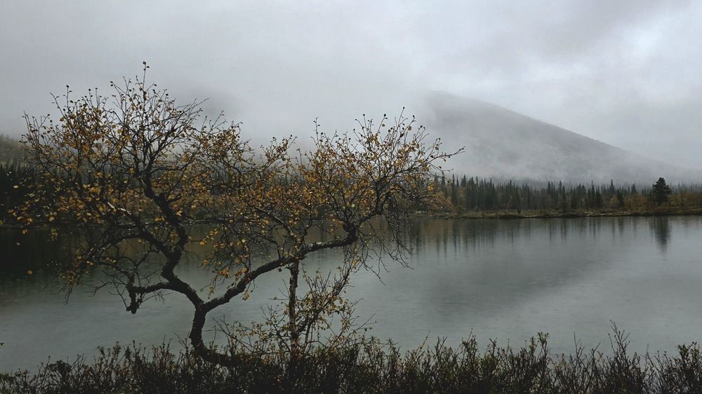 Photograph by Анна Семенова