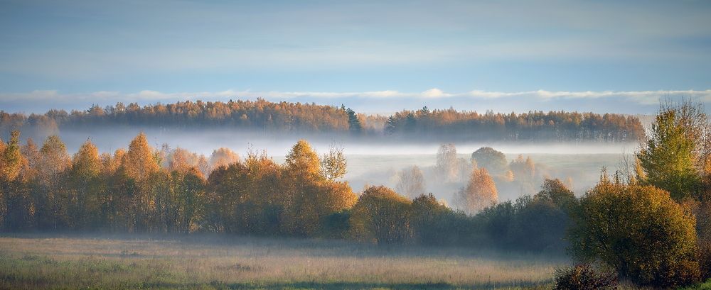 Владимирские туманы