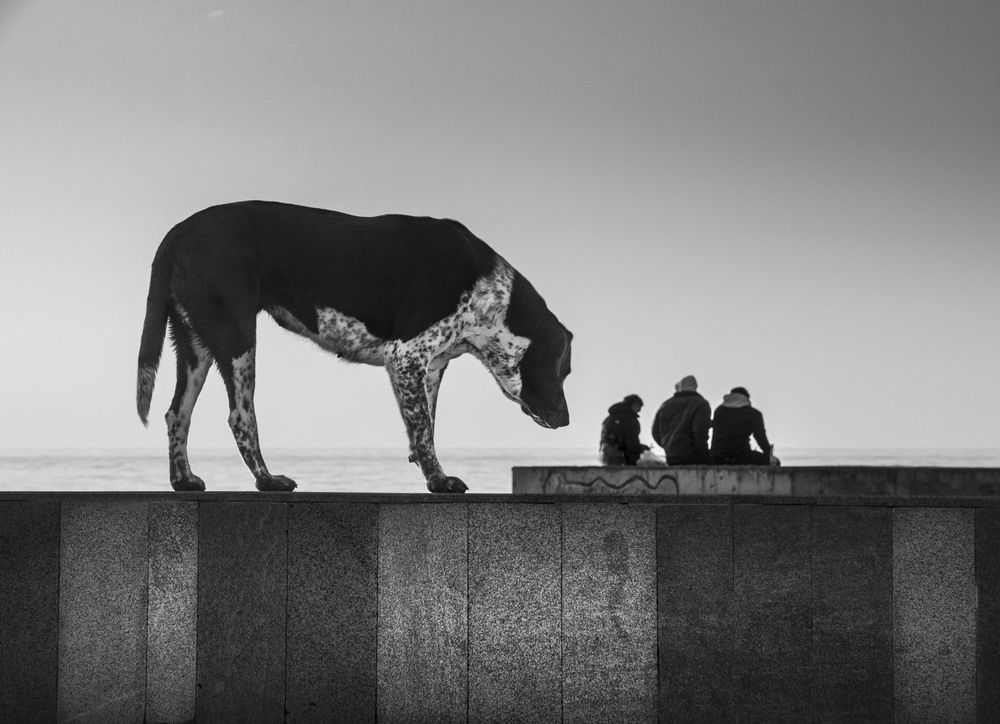 Photograph by Sergej