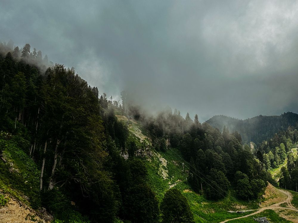 Photograph by Мария Петрова