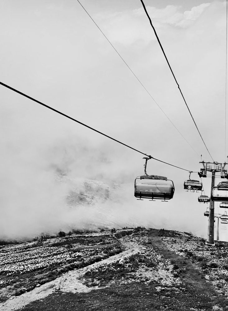 Photograph by Ольга Белоусова