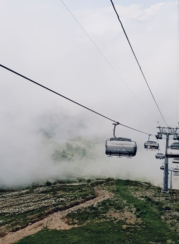 Photograph by Ольга Белоусова