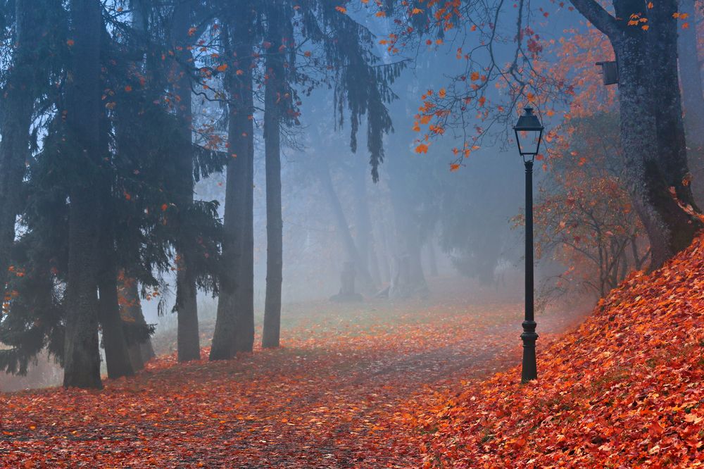 Фотография автора Inga Ivanova