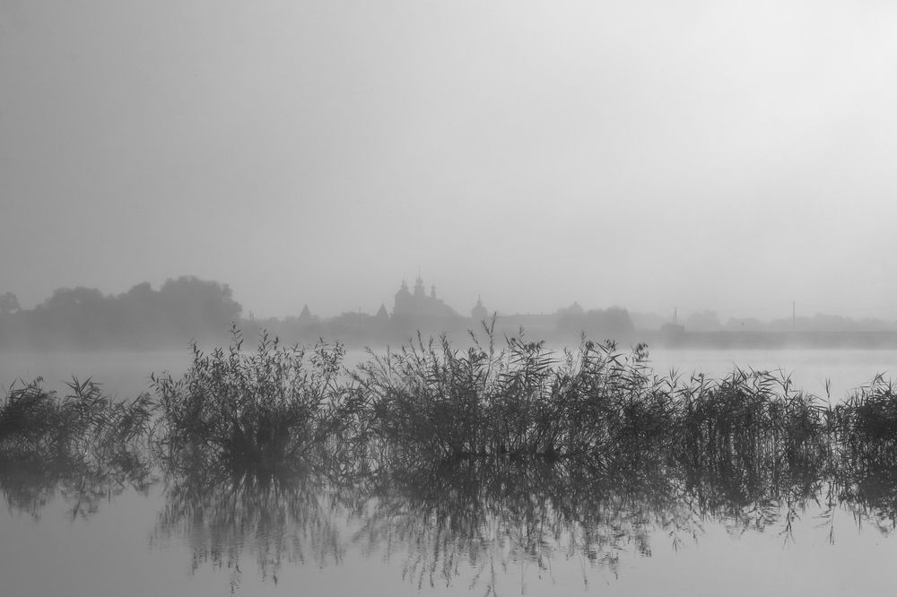 Photograph by Светлана Карнаух