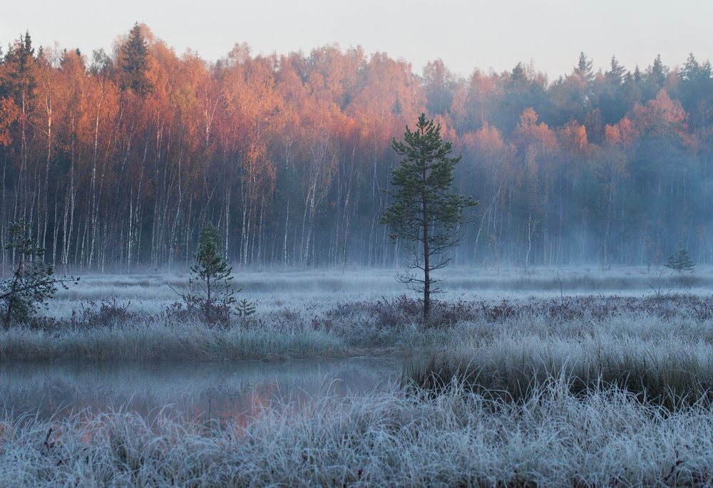 Photograph by Алексей Поляков