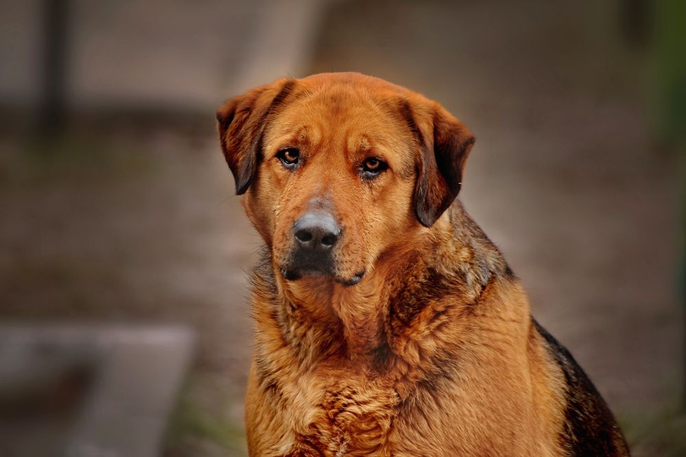 Photograph by Татьяна Бравая