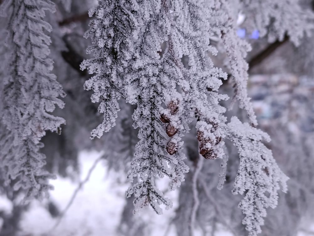 Photograph by Сидорова Ирина