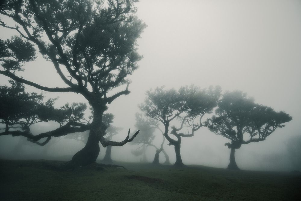 Photograph by Matteo Martin