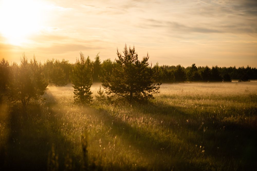 Photograph by Светлана Субботина