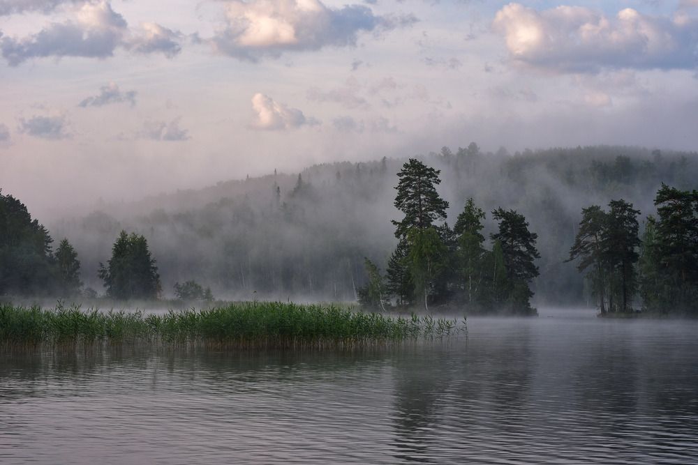 Photograph by Максим Ватрушкин