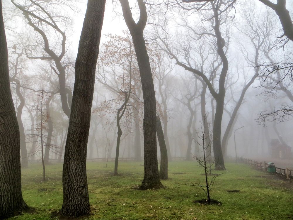 Photograph by Екатерина Салий