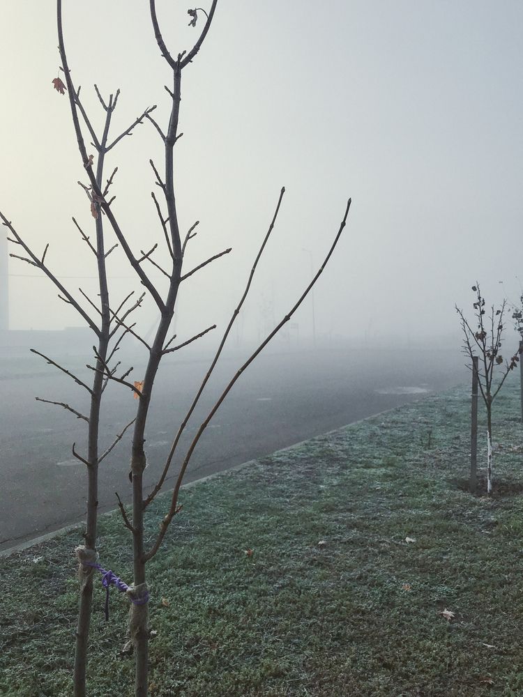 Photograph by Соколова Виктория