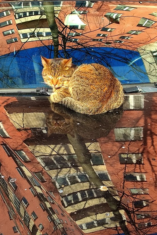 Спокойствие в нестабильном мире