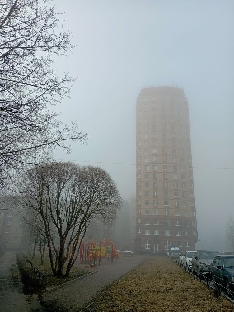 Photograph by Дмитрий Петров