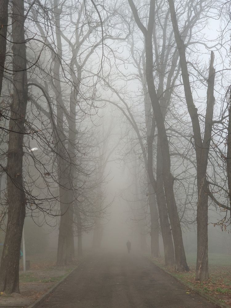 Фотография автора Aliaksandr Shautsou