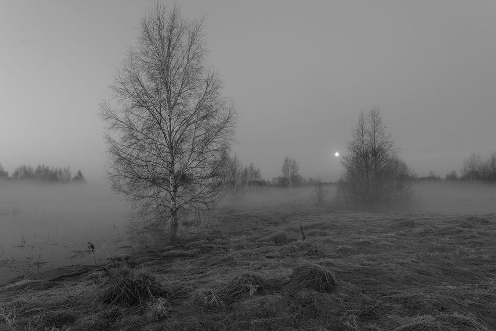 Photograph by Вадим Качанов