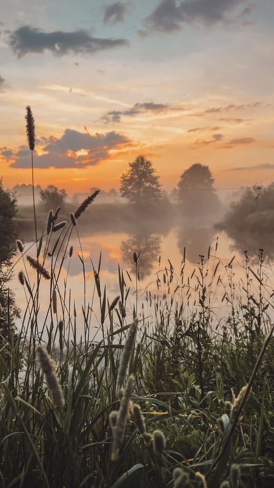 Photograph by Евгения Дудкина