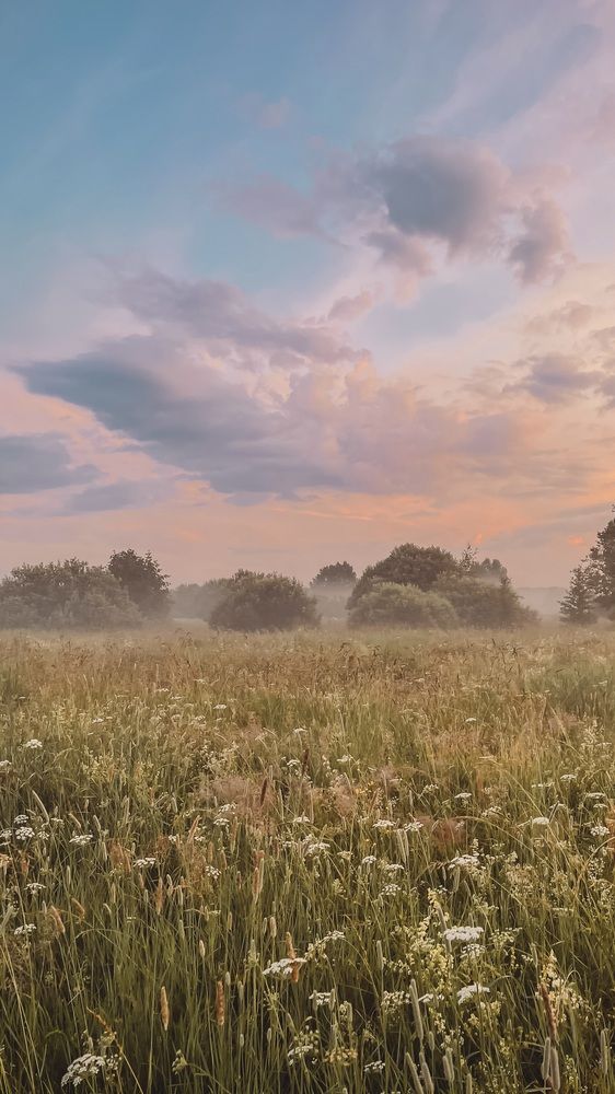 Photograph by Евгения Дудкина