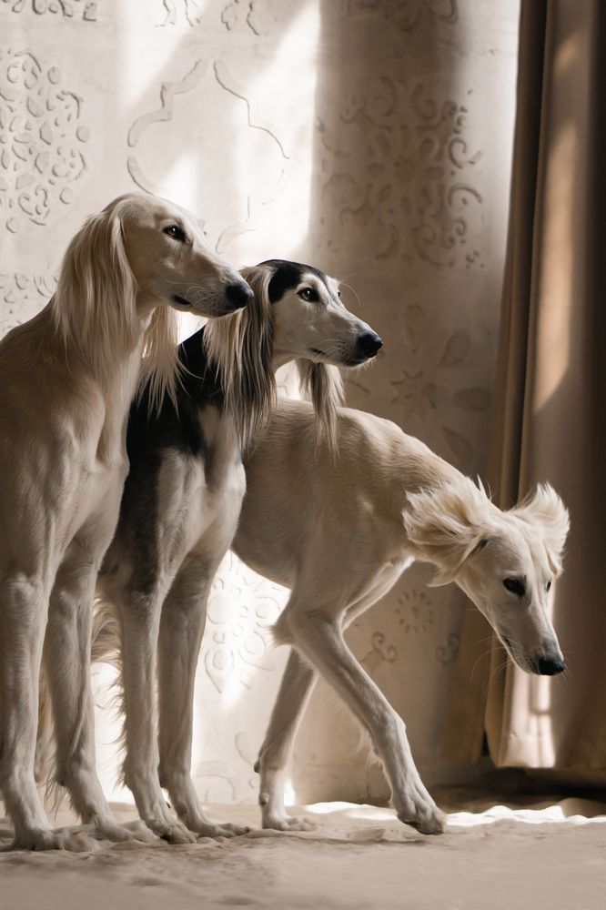 Photograph by Гречаная Мария