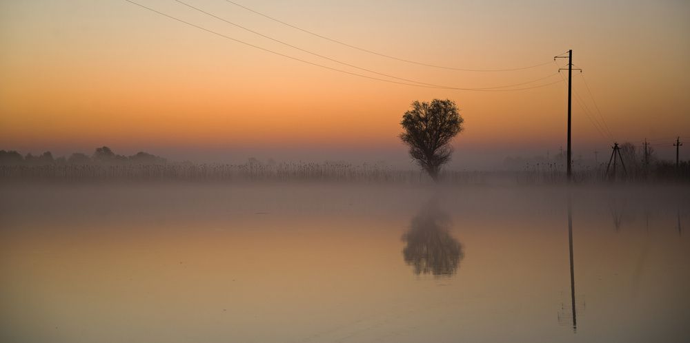 Photograph by Сергей Басов