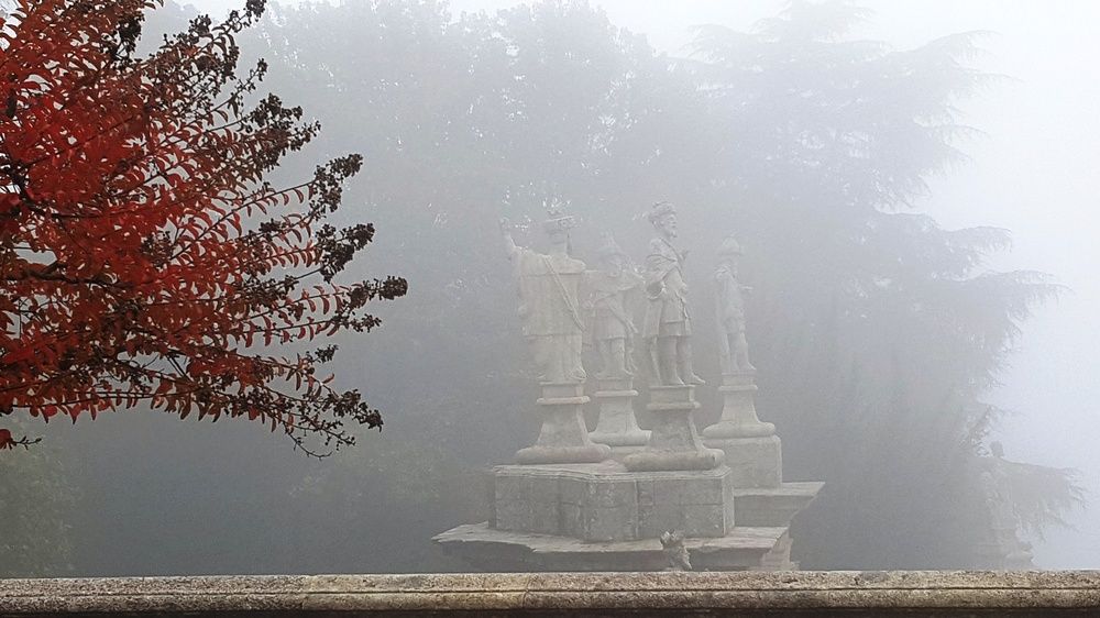 Photograph by Галина Горлицки