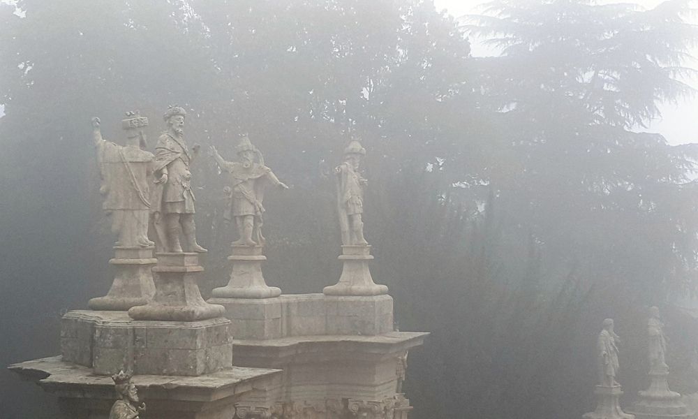 Photograph by Галина Горлицки