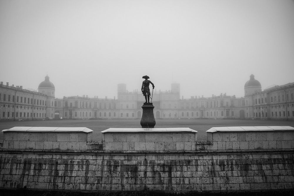 Фотография автора Альбина Хальяк