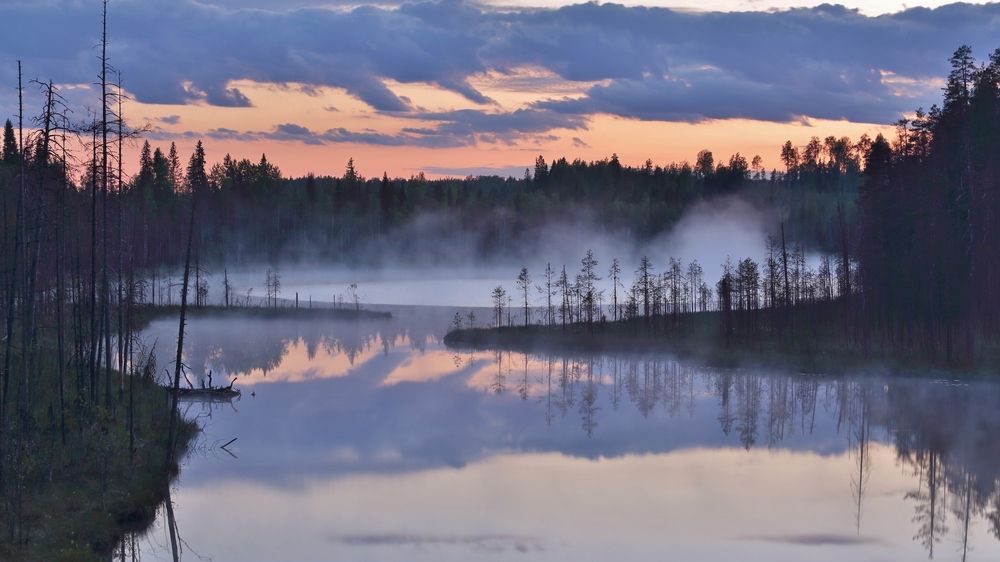 Photograph by Николай Раппу