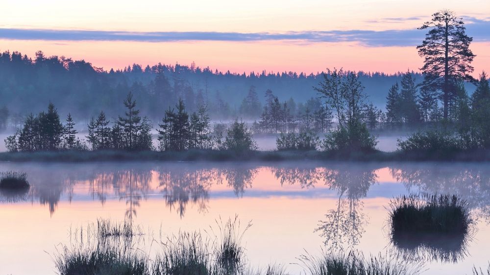 Photograph by Николай Раппу