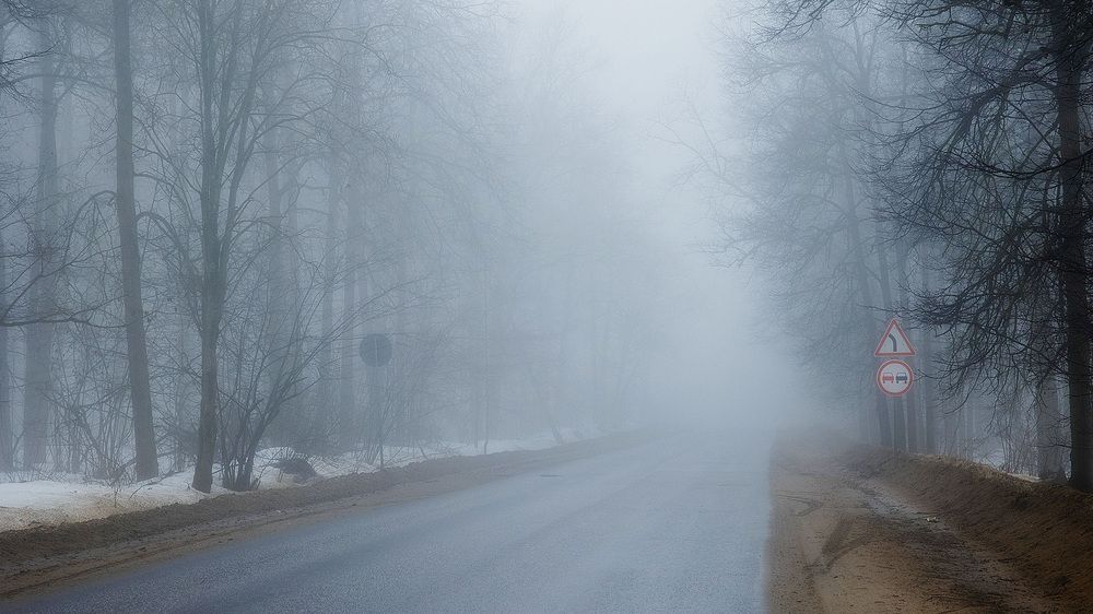 Photograph by Вербицкий Петр