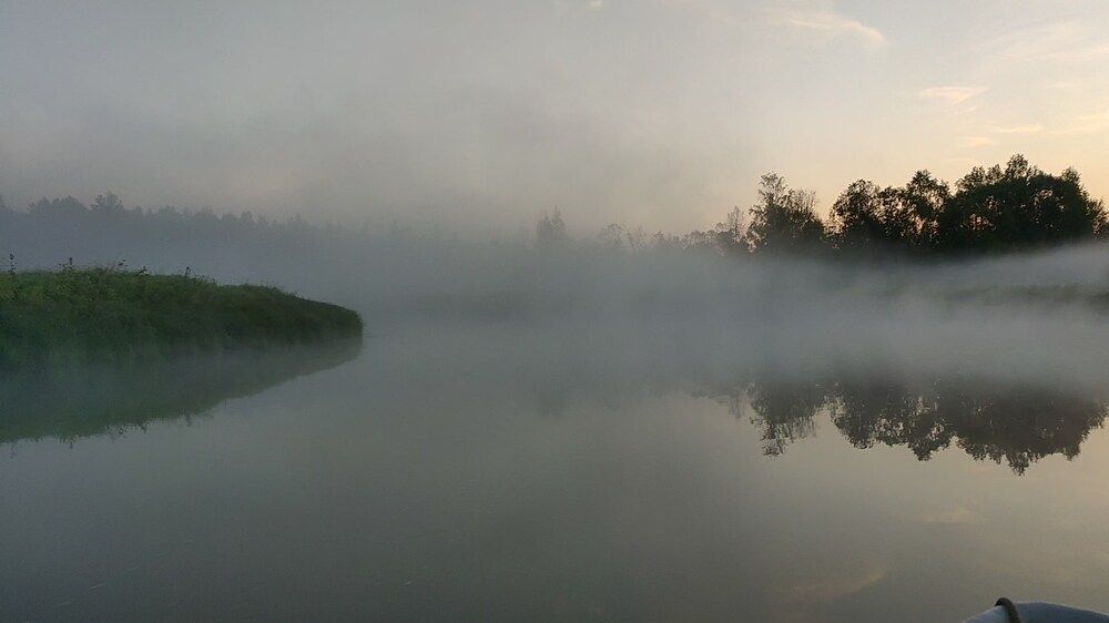 Фотография автора Елена Баранова