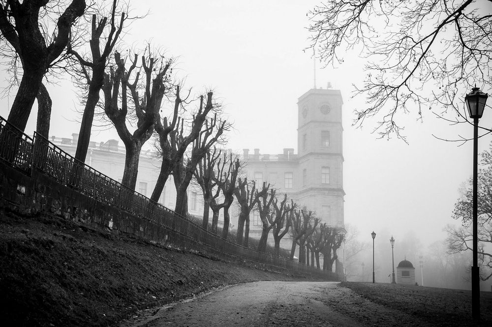 Фотография автора Альбина Хальяк