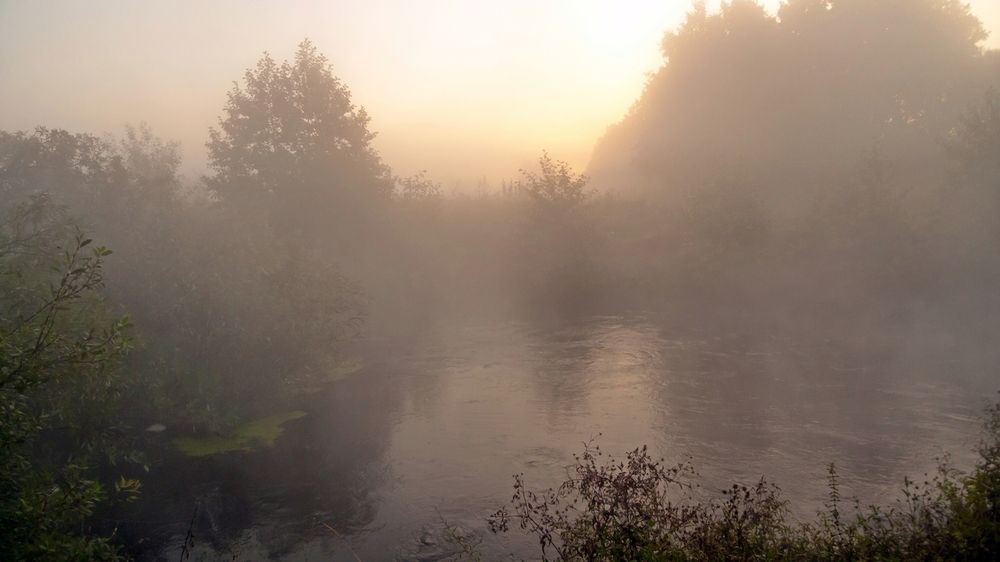 Photograph by Валерий Клейменов