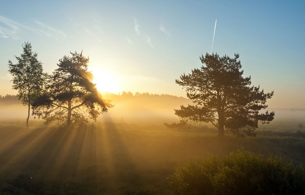 Photograph by Валерий Клейменов