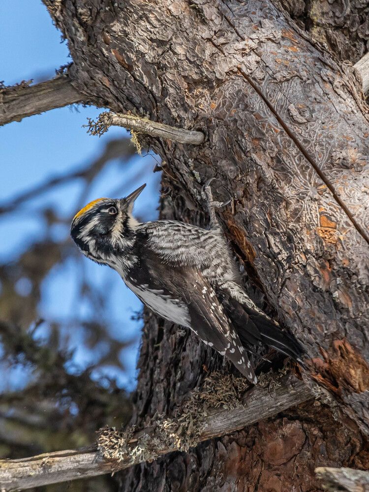 Photograph by Андрей Панов