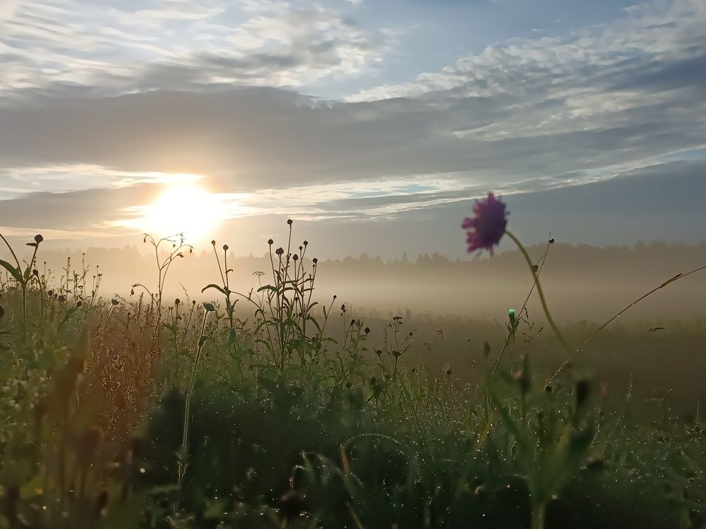 Photograph by Olga Kot