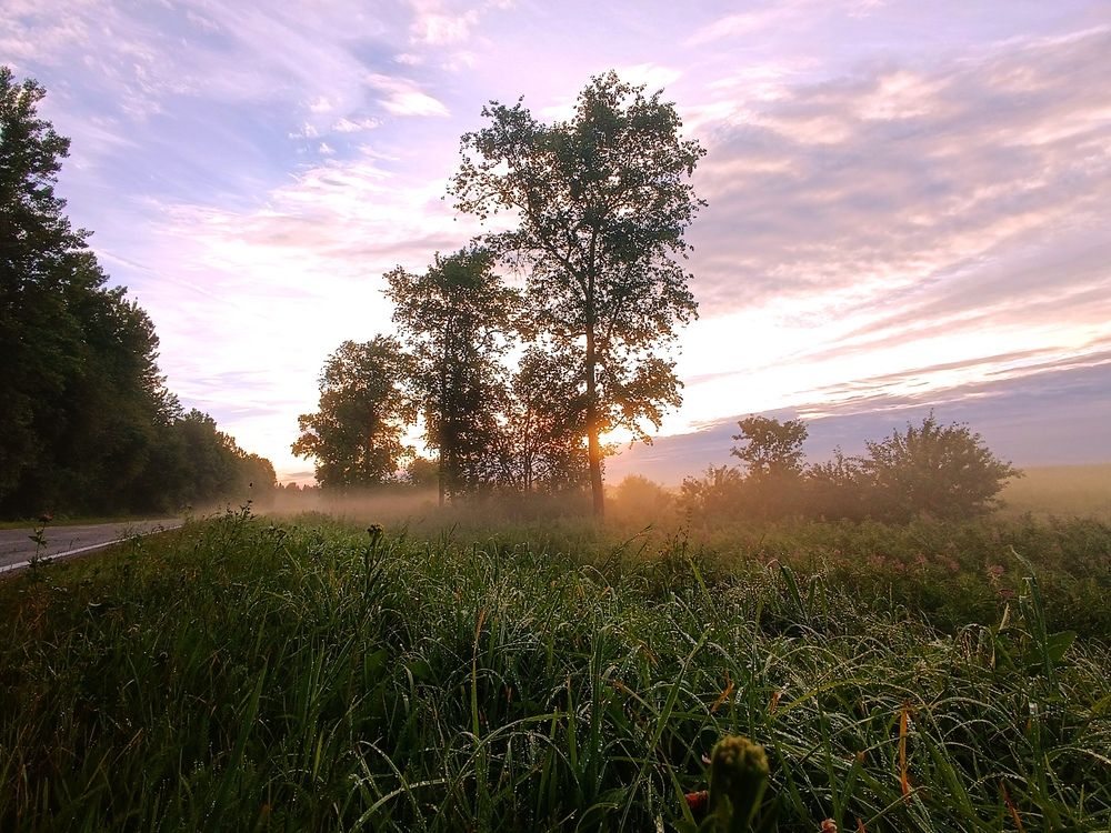 Photograph by Olga Kot