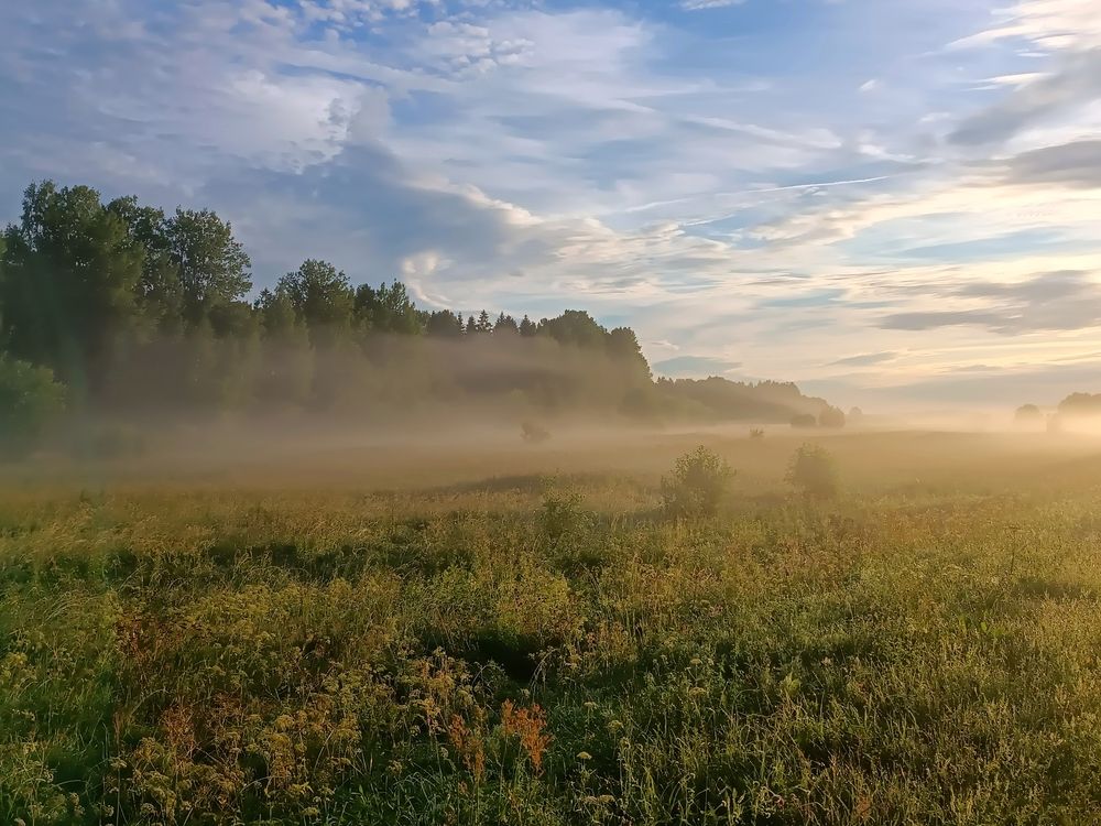 Photograph by Olga Kot